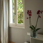 Overlooking The *